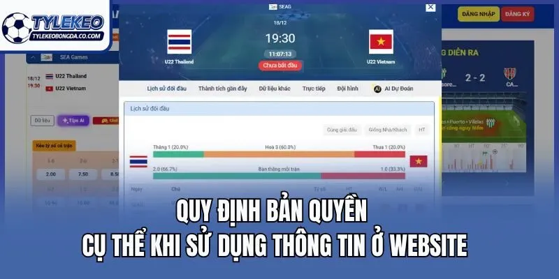 Quy định bản quyền cụ thể khi sử dụng thông tin ở website