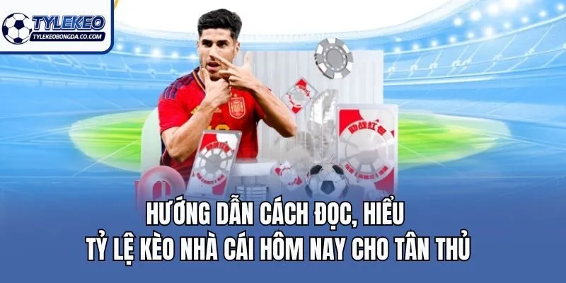 Hướng dẫn cách đọc, hiểu tỷ lệ kèo nhà cái hôm nay cho tân thủ