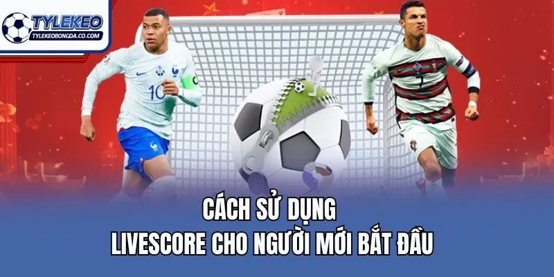 Cách sử dụng livescore cho người mới bắt đầu